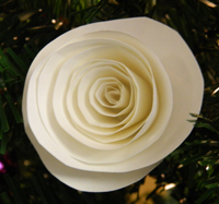 white rose photo whiterose_zps024018f2.jpg